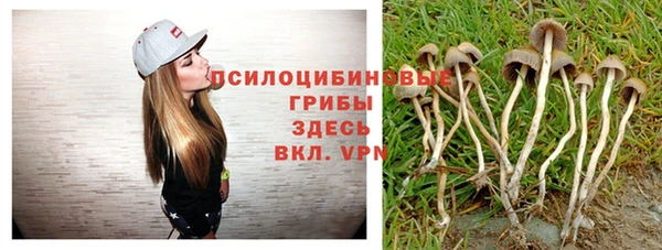 apvp Армянск