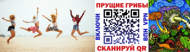 где можно купить наркотик  Белый  Псилоцибиновые грибы прущие грибы 